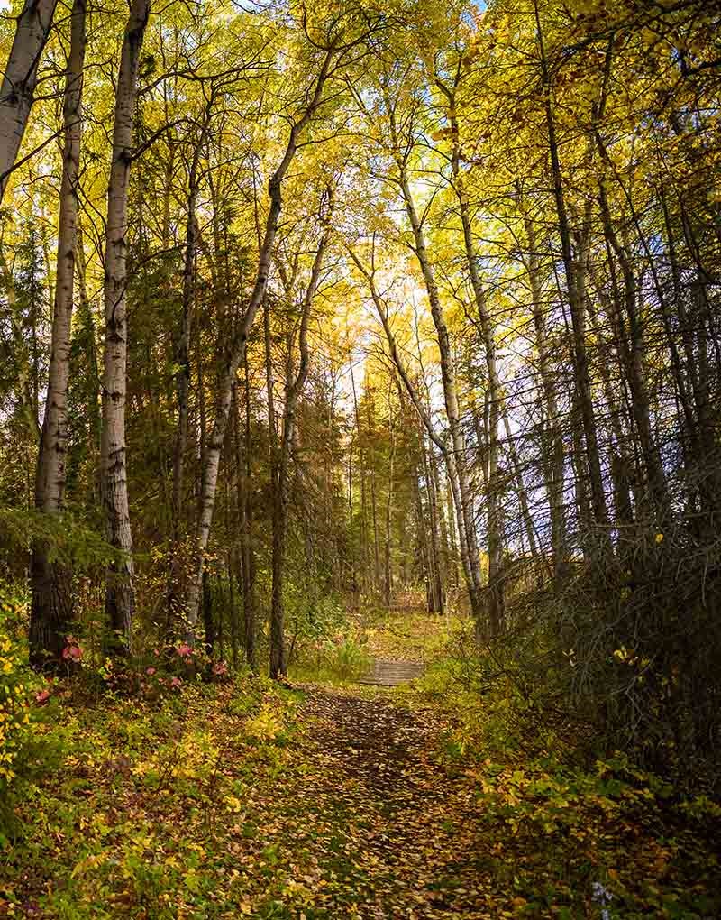 heritage-trail